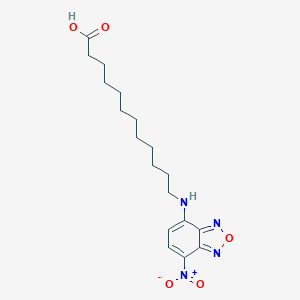 molecular formula C18H26N4O5 B149458 12-(7-硝基苯并呋喃-4-基氨基)十二酸 CAS No. 96801-39-7