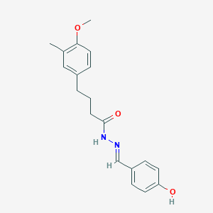 molecular formula C19H22N2O3 B14949122 N'-[(E)-(4-hydroxyphenyl)methylidene]-4-(4-methoxy-3-methylphenyl)butanehydrazide 