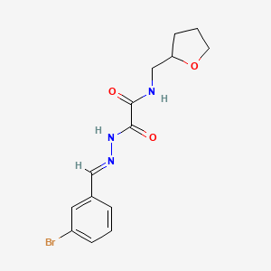 molecular formula C14H16BrN3O3 B14950823 2-[(2E)-2-(3-bromobenzylidene)hydrazinyl]-2-oxo-N-(tetrahydrofuran-2-ylmethyl)acetamide 