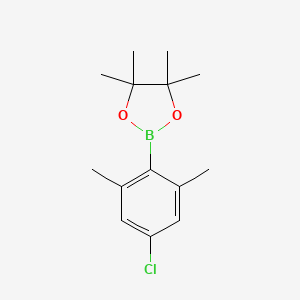 molecular formula C14H20BClO2 B1495284 2,6-Dimethyl-4-chlorophenylboronic acid pinacol ester 