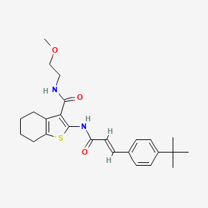 2-{[(2E)-3-(4-tert-butylphenyl)prop-2-enoyl]amino}-N-(2-methoxyethyl)-4,5,6,7-tetrahydro-1-benzothiophene-3-carboxamide