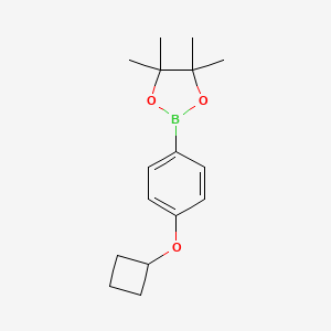 molecular formula C16H23BO3 B1495465 2-(4-Cyclobutoxyphenyl)-4,4,5,5-tetramethyl-1,3,2-dioxaborolane 