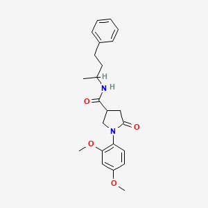 molecular formula C23H28N2O4 B14959194 1-(2,4-dimethoxyphenyl)-5-oxo-N-(4-phenylbutan-2-yl)pyrrolidine-3-carboxamide 