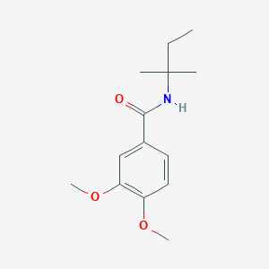 molecular formula C14H21NO3 B14959504 3,4-dimethoxy-N-(2-methylbutan-2-yl)benzamide 