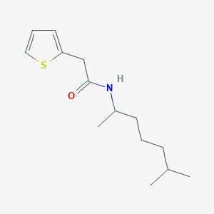 N-(6-methylheptan-2-yl)-2-(thiophen-2-yl)acetamide