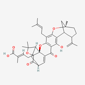 (E)-4-[(2S,8R,19S)-14-Hydroxy-8,23,23-trimethyl-5-(3-methylbut-2-enyl)-16,20-dioxo-11-prop-1-en-2-yl-3,7,22-trioxaheptacyclo[17.4.1.18,12.02,17.02,21.04,15.06,13]pentacosa-4(15),5,13,17-tetraen-21-yl]-2-methylbut-2-enoic acid