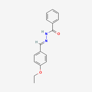 molecular formula C16H16N2O2 B14962977 N'-[(E)-(4-ethoxyphenyl)methylidene]benzohydrazide 