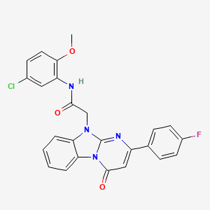 molecular formula C25H18ClFN4O3 B14964378 N-(5-chloro-2-methoxyphenyl)-2-[2-(4-fluorophenyl)-4-oxopyrimido[1,2-a]benzimidazol-10(4H)-yl]acetamide 