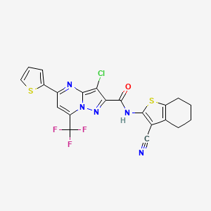 molecular formula C21H13ClF3N5OS2 B14968433 3-chloro-N-(3-cyano-4,5,6,7-tetrahydro-1-benzothiophen-2-yl)-5-(thiophen-2-yl)-7-(trifluoromethyl)pyrazolo[1,5-a]pyrimidine-2-carboxamide 