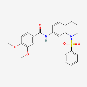 molecular formula C24H24N2O5S B14972553 3,4-dimethoxy-N-(1-(phenylsulfonyl)-1,2,3,4-tetrahydroquinolin-7-yl)benzamide 