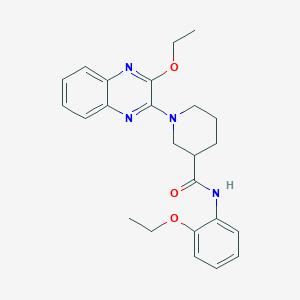 N-(2-ethoxyphenyl)-1-(3-ethoxyquinoxalin-2-yl)piperidine-3-carboxamide