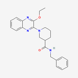 N-benzyl-1-(3-ethoxyquinoxalin-2-yl)piperidine-3-carboxamide