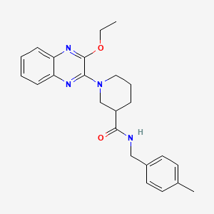 1-(3-ethoxyquinoxalin-2-yl)-N-(4-methylbenzyl)piperidine-3-carboxamide