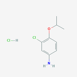 molecular formula C9H13Cl2NO B1497998 3-氯-4-异丙氧基苯胺盐酸盐 CAS No. 35594-48-0