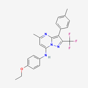 N-(4-ethoxyphenyl)-5-methyl-3-(4-methylphenyl)-2-(trifluoromethyl)pyrazolo[1,5-a]pyrimidin-7-amine