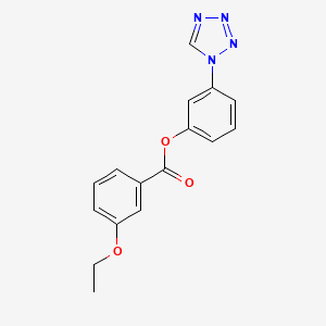 molecular formula C16H14N4O3 B14981556 3-(1H-tetrazol-1-yl)phenyl 3-ethoxybenzoate 