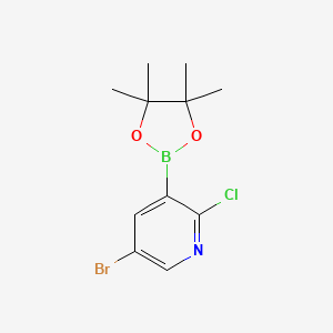 5-Bromo-2-chloro-3-(4,4,5,5-tetramethyl-1,3,2-dioxaborolan-2-yl)pyridine
