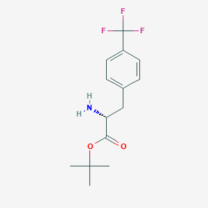 molecular formula C14H18F3NO2 B1498283 (R)-4-(Trifluoromethyl)phenylalanine t-butyl ester CAS No. 1052168-10-1