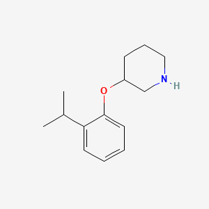 molecular formula C14H21NO B1498287 3-(2-Isopropylphenoxy)piperidine CAS No. 902837-35-8