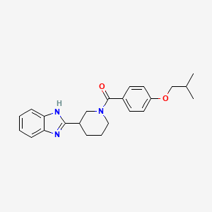 molecular formula C23H27N3O2 B14983241 [3-(1H-benzimidazol-2-yl)piperidin-1-yl][4-(2-methylpropoxy)phenyl]methanone 