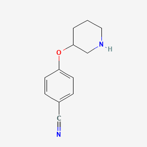 molecular formula C12H14N2O B1498351 4-(3-Piperidinyloxy)benzonitrile CAS No. 902837-34-7