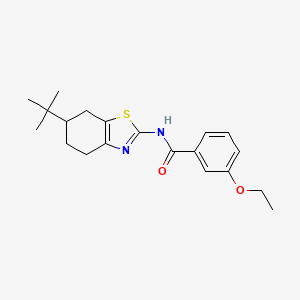 N-(6-tert-butyl-4,5,6,7-tetrahydro-1,3-benzothiazol-2-yl)-3-ethoxybenzamide