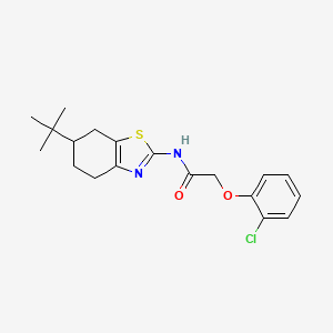 N-(6-tert-butyl-4,5,6,7-tetrahydro-1,3-benzothiazol-2-yl)-2-(2-chlorophenoxy)acetamide