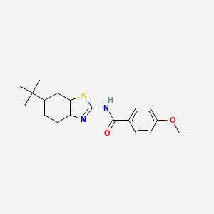 molecular formula C20H26N2O2S B14985405 N-(6-tert-butyl-4,5,6,7-tetrahydro-1,3-benzothiazol-2-yl)-4-ethoxybenzamide 