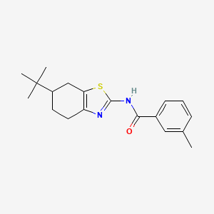 molecular formula C19H24N2OS B14985464 N-(6-tert-butyl-4,5,6,7-tetrahydro-1,3-benzothiazol-2-yl)-3-methylbenzamide 