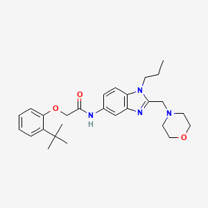 molecular formula C27H36N4O3 B14985971 2-(2-tert-butylphenoxy)-N-[2-(morpholin-4-ylmethyl)-1-propyl-1H-benzimidazol-5-yl]acetamide 