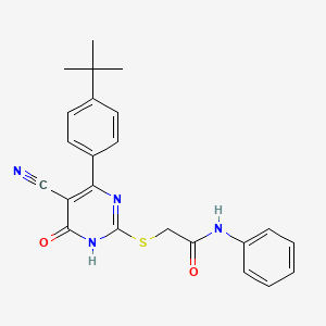 molecular formula C23H22N4O2S B14987261 2-{[4-(4-Tert-butylphenyl)-5-cyano-6-oxo-1,6-dihydropyrimidin-2-YL]sulfanyl}-N-phenylacetamide 