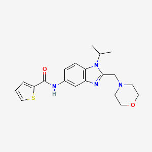 molecular formula C20H24N4O2S B14987428 N-[2-(morpholin-4-ylmethyl)-1-(propan-2-yl)-1H-benzimidazol-5-yl]thiophene-2-carboxamide 