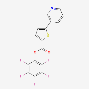 Pentafluorophenyl 5-pyrid-3-ylthiophene-2-carboxylate