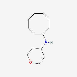 molecular formula C13H25NO B1499064 Cyclooctyl-(tetrahydro-pyran-4-YL)-amine CAS No. 885281-07-2