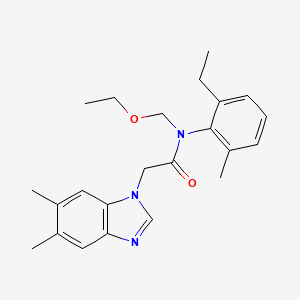 2-(5,6-dimethyl-1H-benzimidazol-1-yl)-N-(ethoxymethyl)-N-(2-ethyl-6-methylphenyl)acetamide