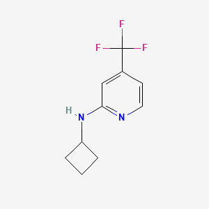 molecular formula C10H11F3N2 B1499798 N-cyclobutyl-4-(trifluoromethyl)pyridin-2-amine CAS No. 944580-79-4