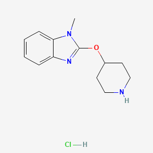 molecular formula C13H18ClN3O B1499903 1-Methyl-2-(piperidin-4-yloxy)-1H-benzoimidazole hydrochloride CAS No. 1185311-04-9