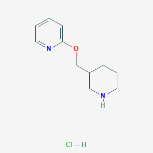 molecular formula C11H17ClN2O B1499908 2-(Piperidin-3-ylmethoxy)pyridine hydrochloride CAS No. 1185315-94-9