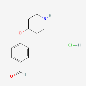 molecular formula C12H16ClNO2 B1499923 4-(Piperidin-4-yloxy)benzaldehyde hydrochloride 