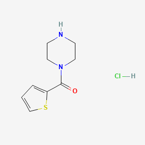 molecular formula C9H13ClN2OS B1500118 哌嗪-1-基-噻吩-2-基-甲酮盐酸盐 CAS No. 99580-45-7