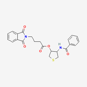 molecular formula C23H22N2O5S B15005488 4-[(phenylcarbonyl)amino]tetrahydrothiophen-3-yl 4-(1,3-dioxo-1,3-dihydro-2H-isoindol-2-yl)butanoate 