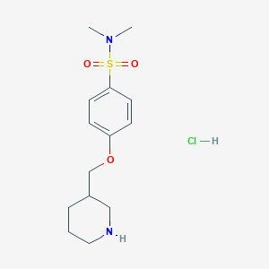 molecular formula C14H23ClN2O3S B1500569 N,N-dimethyl-4-(piperidin-3-ylmethoxy)benzenesulfonamide hydrochloride CAS No. 1185310-30-8