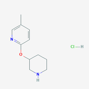 molecular formula C11H17ClN2O B1500586 5-Methyl-2-(piperidin-3-yloxy)-pyridine hydrochloride CAS No. 1185308-63-7