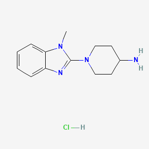 molecular formula C13H19ClN4 B1500595 1-(1-Methyl-1H-benzoimidazol-2-yl)-piperidin-4-ylamine hydrochloride CAS No. 1185319-82-7