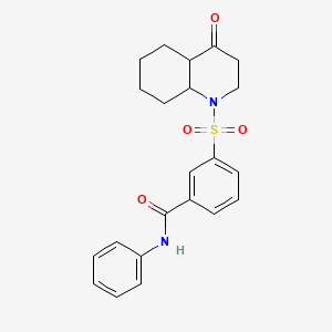 3-[(4-oxooctahydroquinolin-1(2H)-yl)sulfonyl]-N-phenylbenzamide