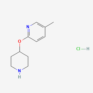 5-Methyl-2-(piperidin-4-yloxy)pyridine hydrochloride