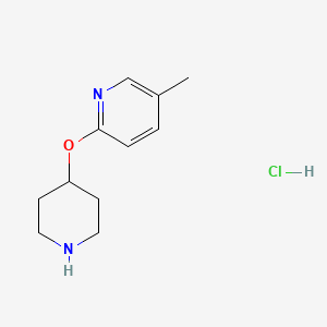 molecular formula C11H17ClN2O B1500646 5-Methyl-2-(piperidin-4-yloxy)pyridine hydrochloride CAS No. 1185308-30-8