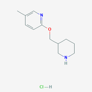 molecular formula C12H19ClN2O B1500647 5-Methyl-2-(piperidin-3-ylmethoxy)pyridine hydrochloride CAS No. 1185308-79-5