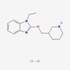 molecular formula C15H22ClN3O B1500736 1-Ethyl-2-(piperidin-3-ylmethoxy)-1H-benzoimidazole hydrochloride CAS No. 1185318-85-7