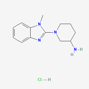 molecular formula C13H19ClN4 B1500737 1-(1-Methyl-1H-benzoimidazol-2-yl)-piperidin-3-ylamine hydrochloride CAS No. 1185311-18-5